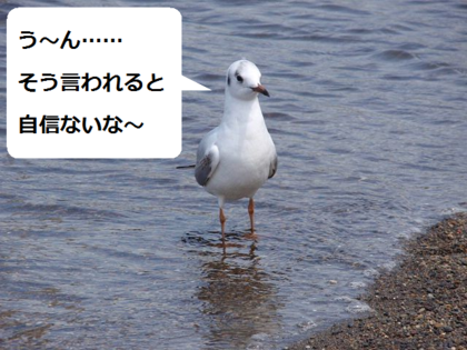 20110416-04.png