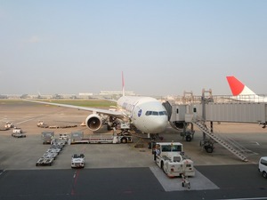 JAL503