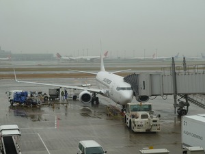 JAL507