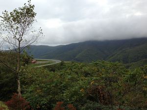 20131005林道風景
