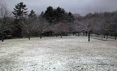 雪景色の公園