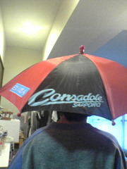 頂いた傘。