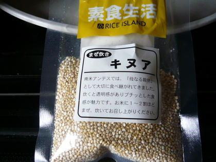 Chenopodium quinoa  アカザ科