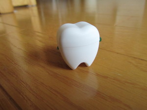 歯のケース