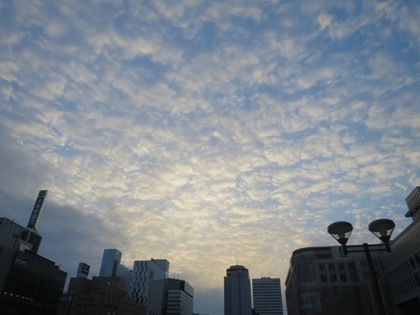 ビックカメラさんから見た札幌の空